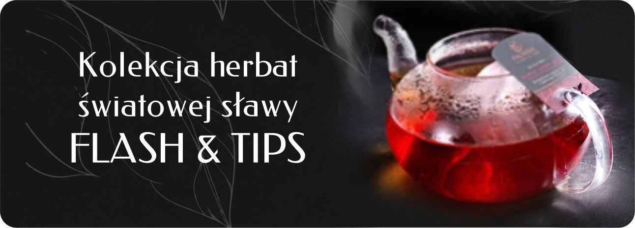 Банер «Flash&Tips»